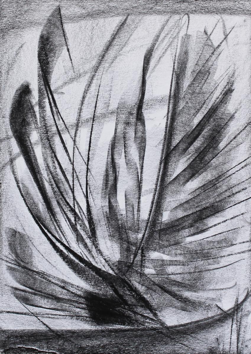 Nocturne VI